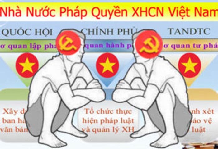 Thực tiễn áp dụng và Phát triển Nhà nước Pháp quyền ở Việt Nam