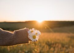 Hình như ta đã yêu…