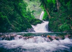 Tình yêu là như thế