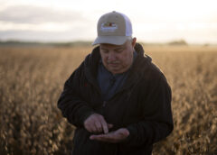 Nỗi thất vọng của nông dân Mỹ với ông Trump