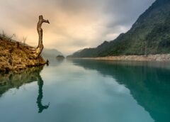 Nỗi lòng người viễn xứ