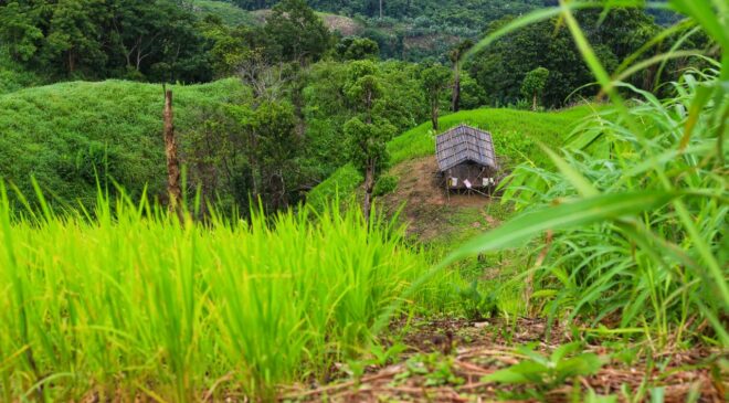 Tôi ăn xin…