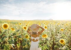 Đã bao giờ anh dám ngược nắng để tìm em
